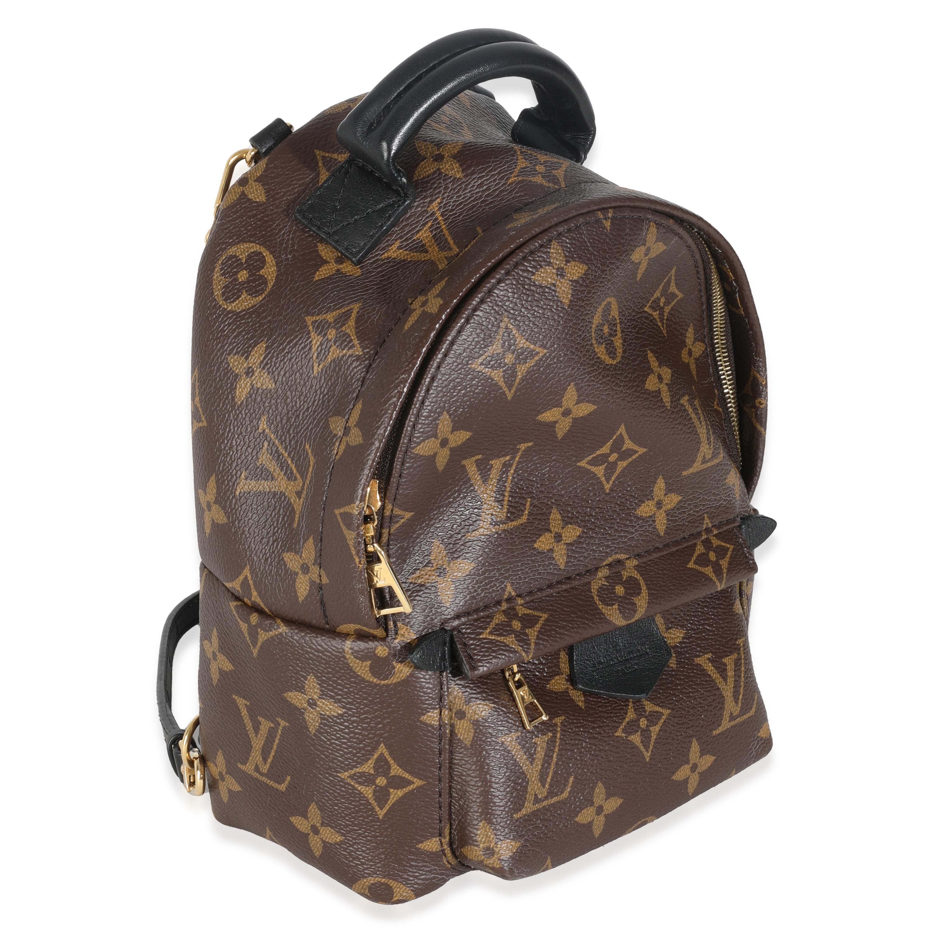 Gris Louis Vuitton Monogram Canvas Mini Palm Springs en vente