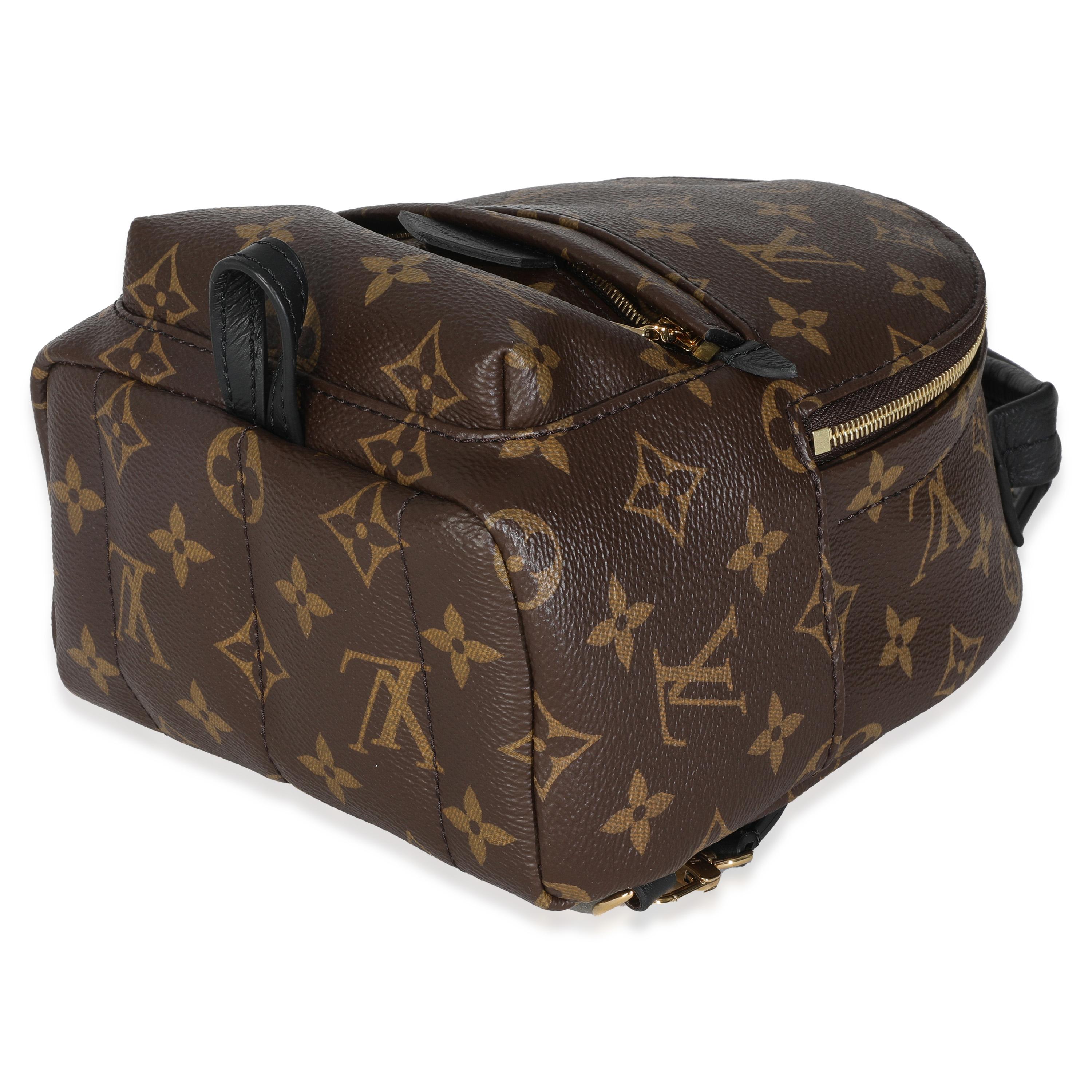 Women's or Men's Louis Vuitton Monogram Canvas Mini Palm Springs For Sale
