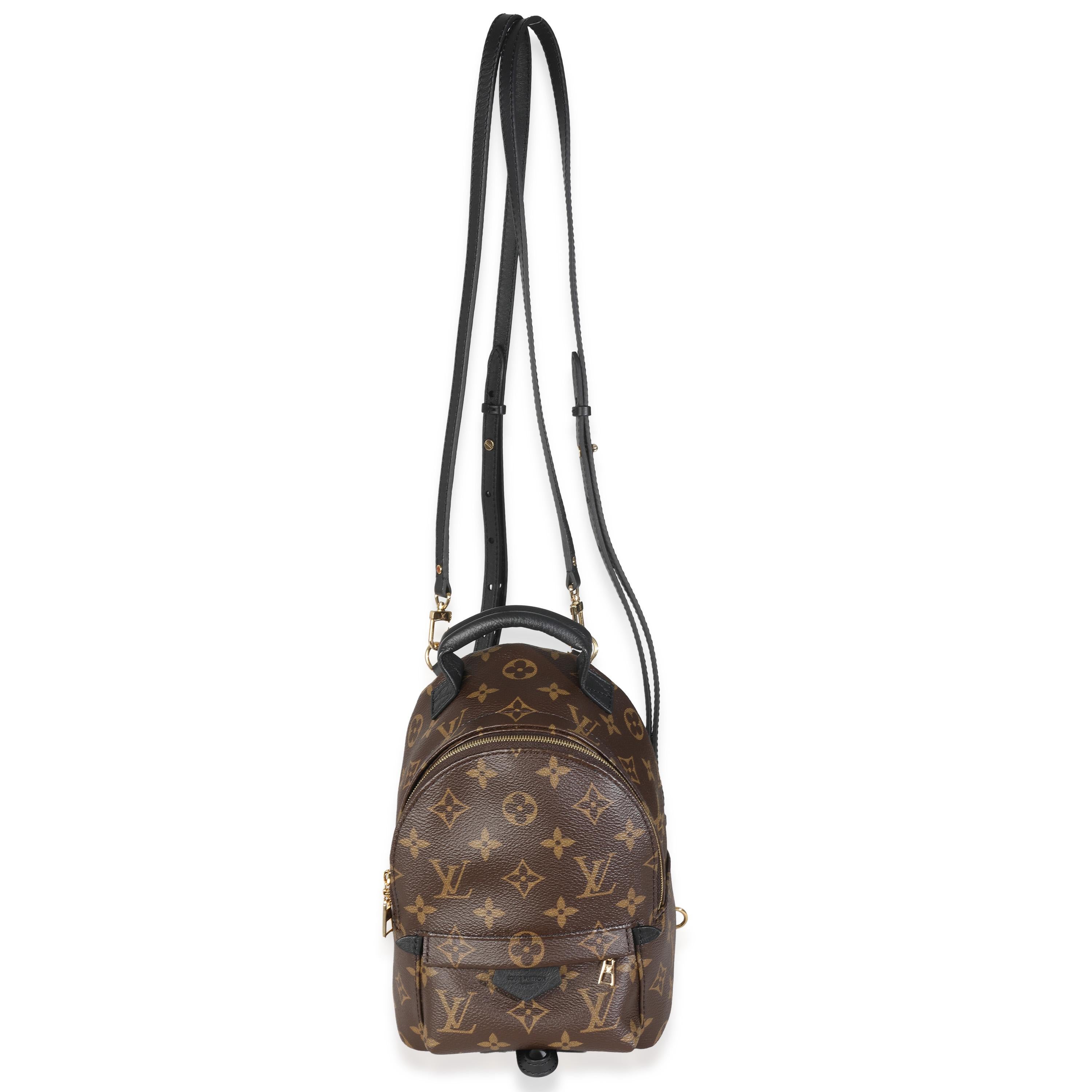 Louis Vuitton Monogram Canvas Mini Palm Springs For Sale 1