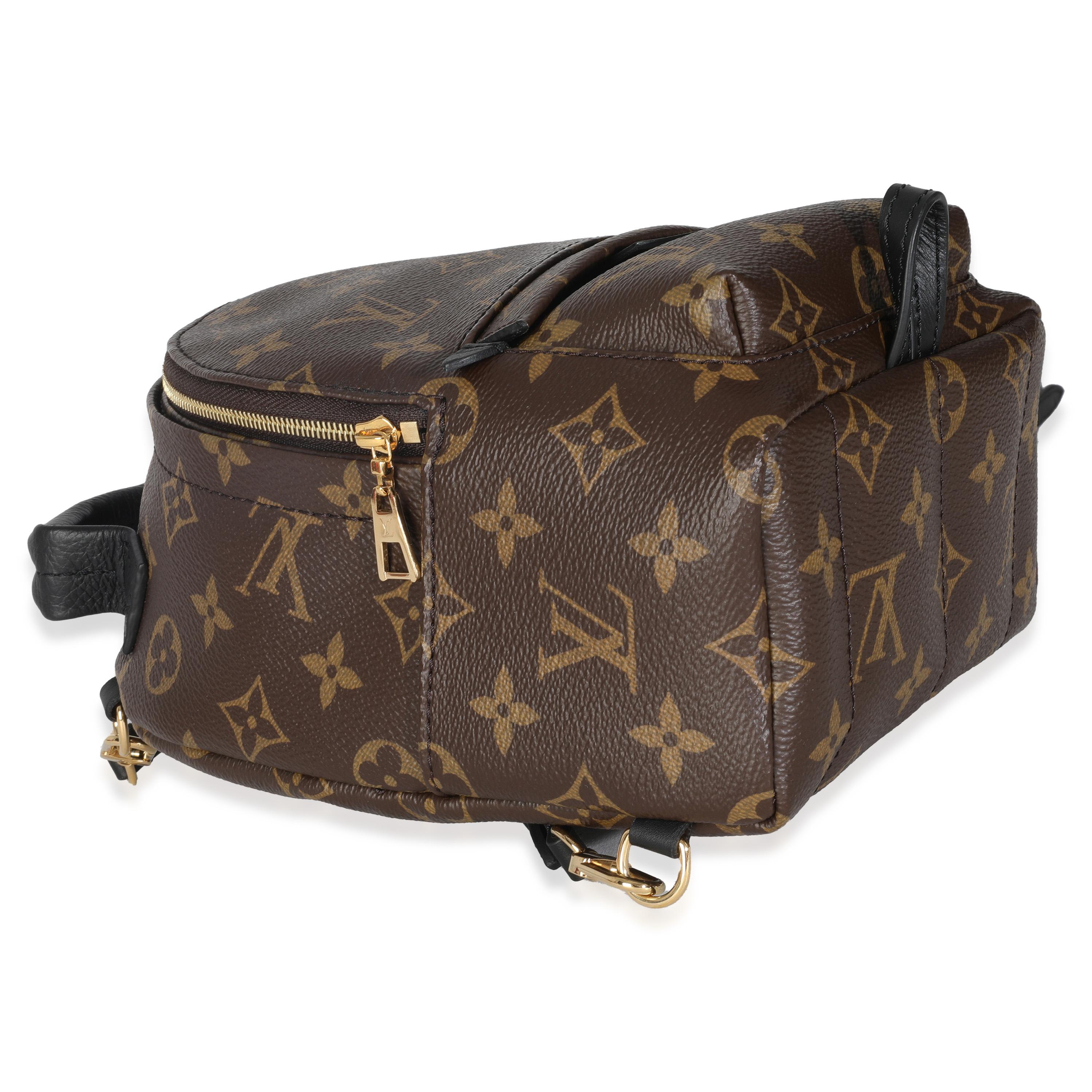 Louis Vuitton Monogram Canvas Mini Palm Springs For Sale 2
