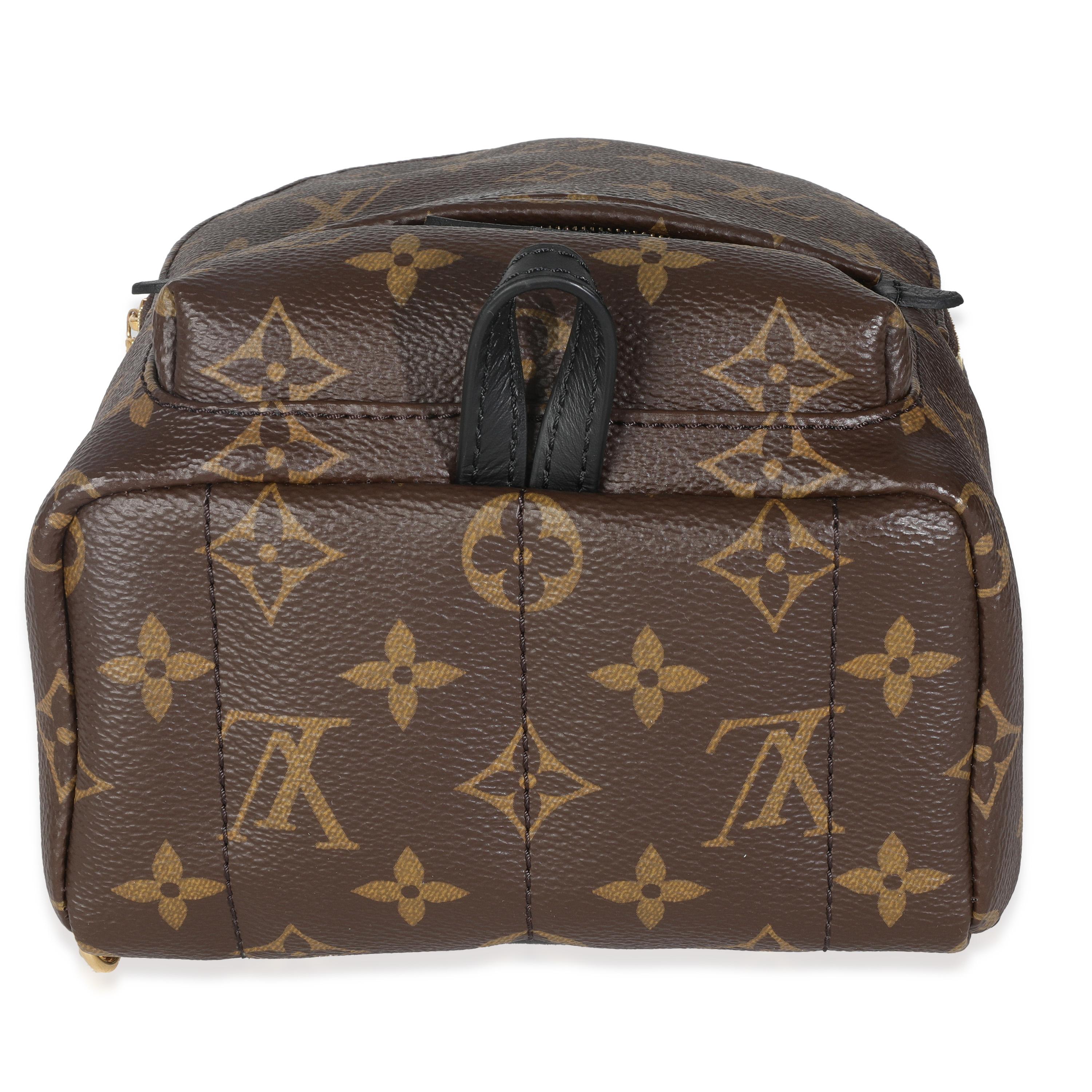 Louis Vuitton Monogram Canvas Mini Palm Springs For Sale 3