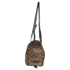 Louis Vuitton Monogram Canvas Mini Palm Springs