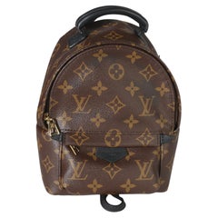 Louis Vuitton Monogram Canvas Mini Palm Springs