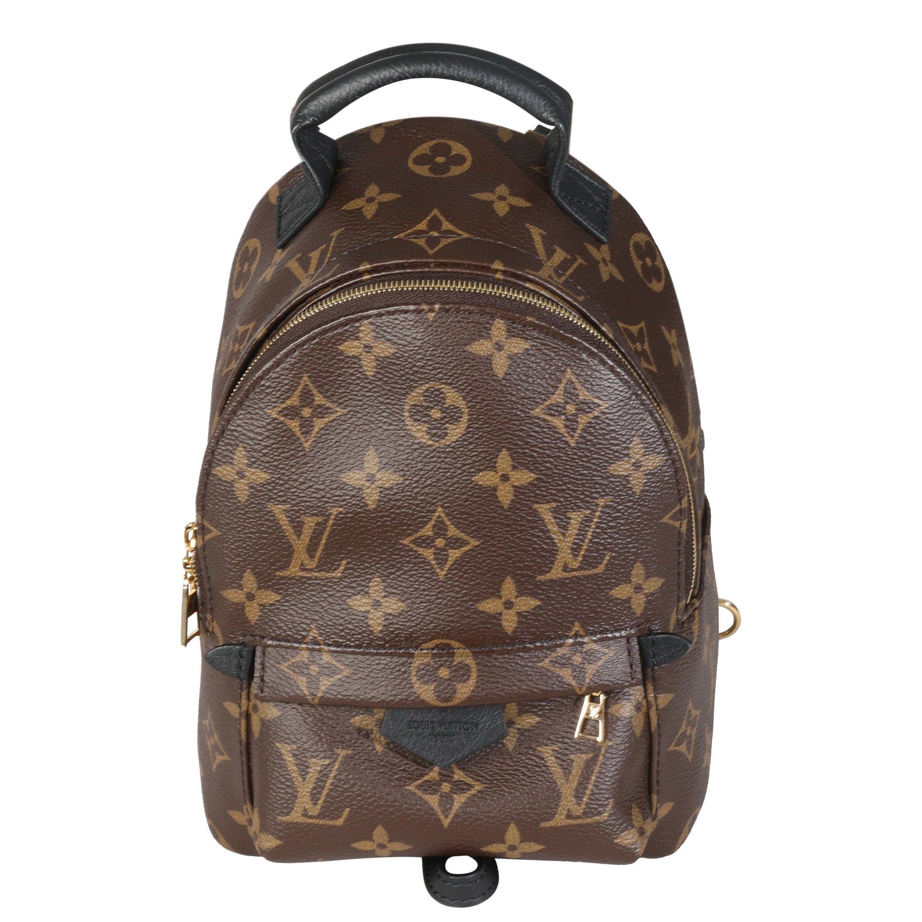 Louis Vuitton Monogram Canvas Mini Palm Springs
