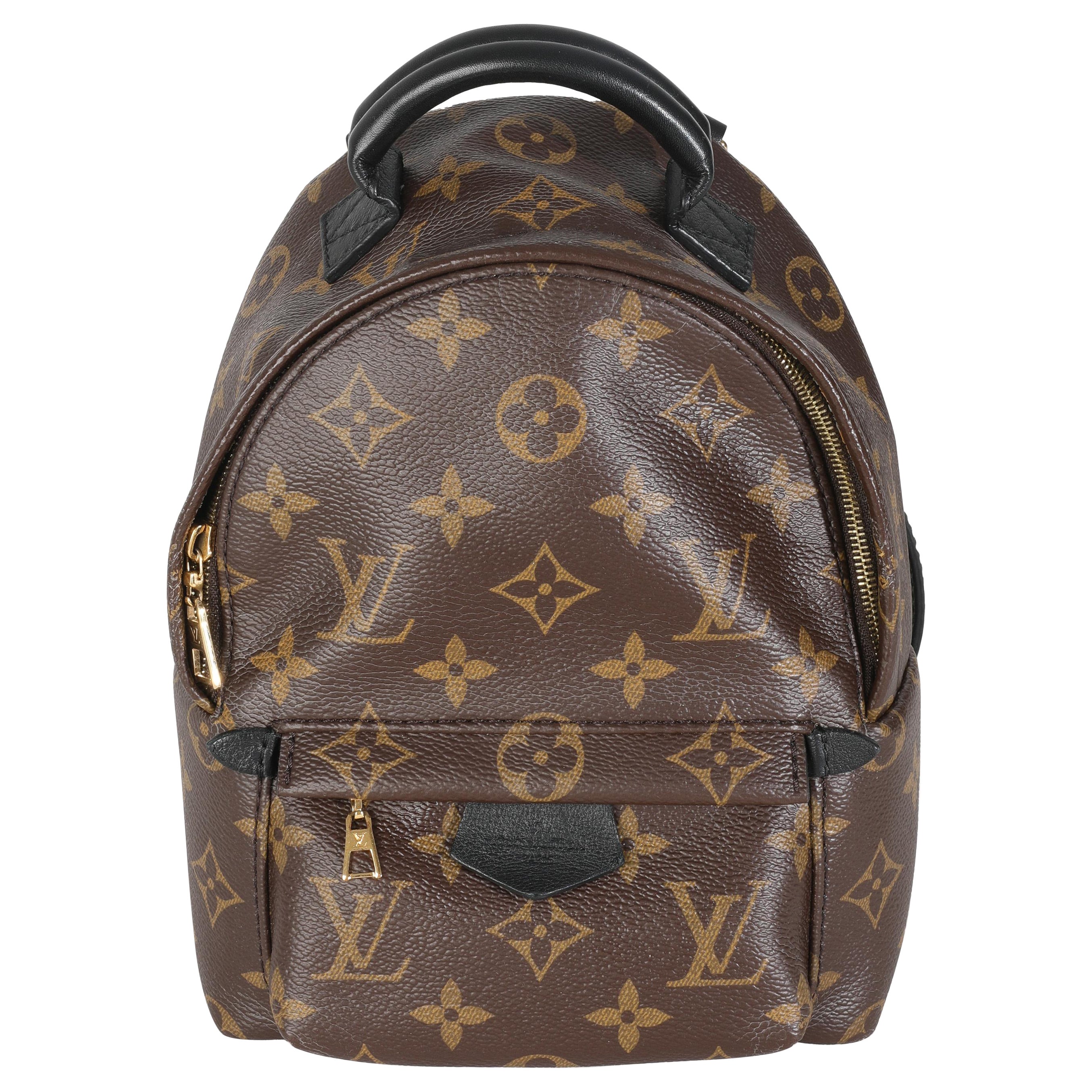Louis Vuitton Monogram Canvas Mini Palm Springs
