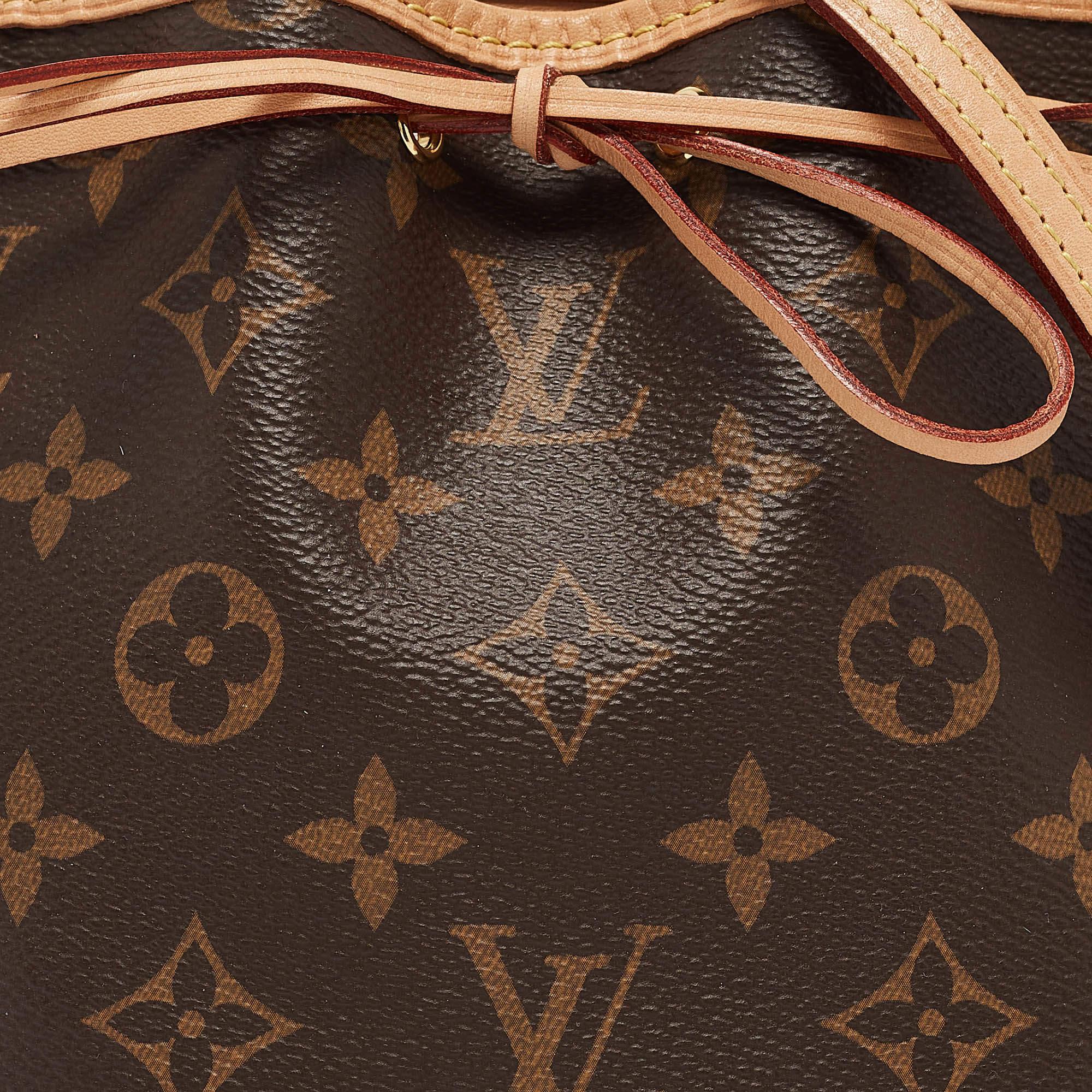 Women's Louis Vuitton Monogram Canvas Nano Noe Bag