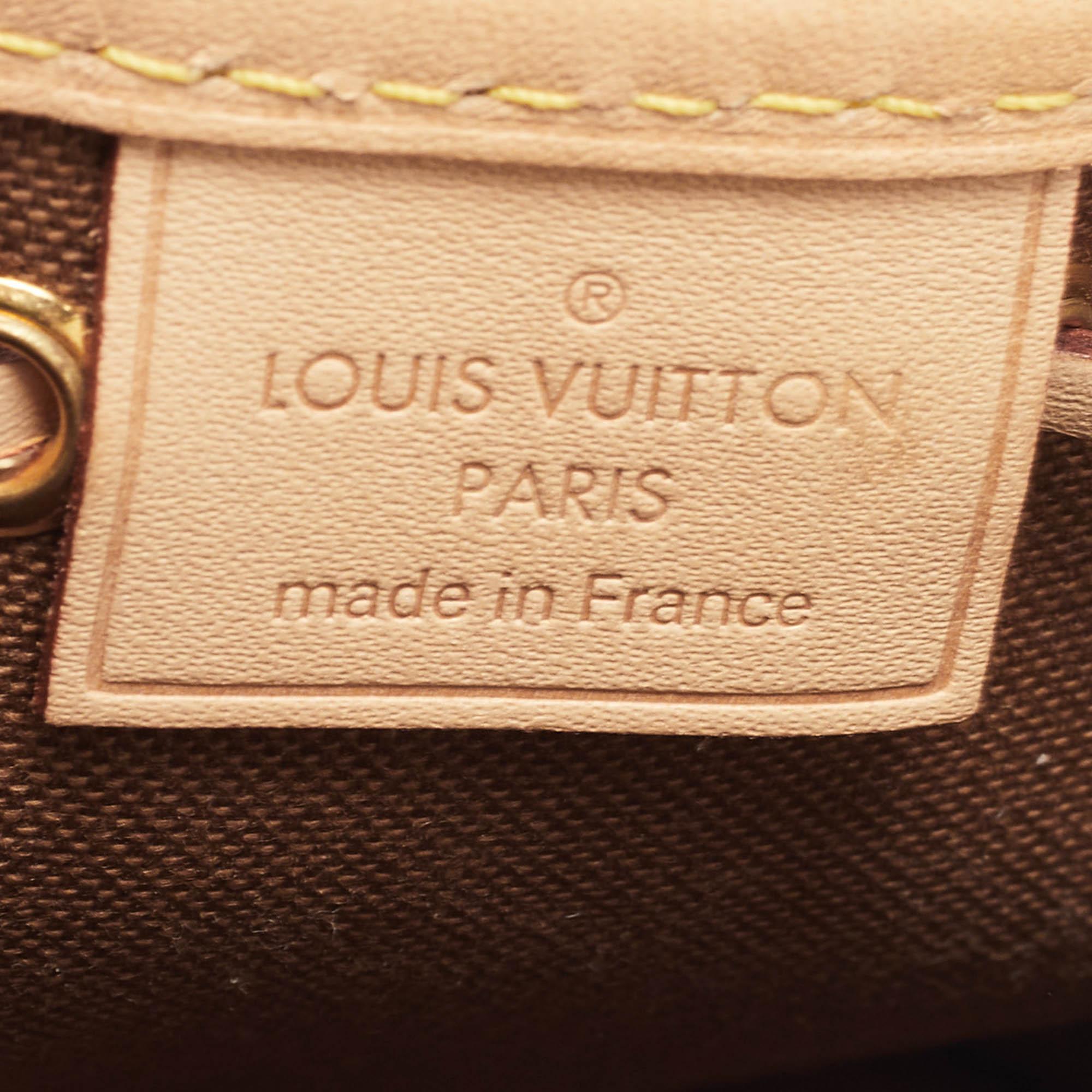 Louis Vuitton Monogram Canvas Nano Noe Bag 1