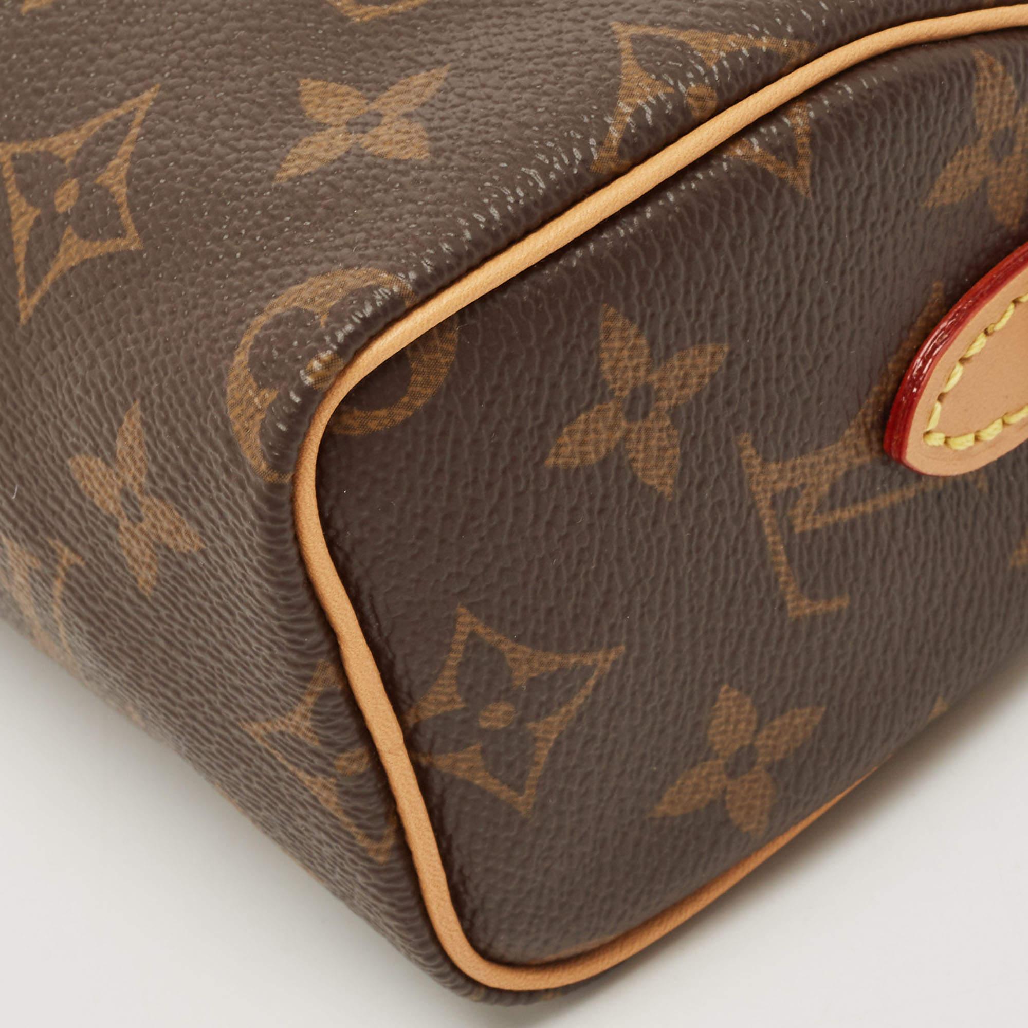 Men's Louis Vuitton Monogram Canvas Nano Speedy Bag