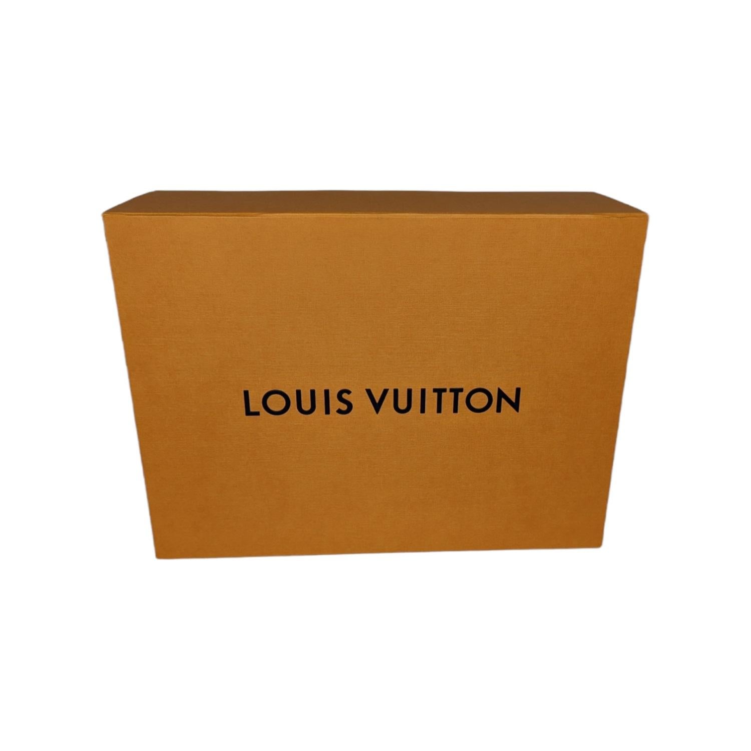 Louis Vuitton Monogram Canvas Odeon NM PM 6