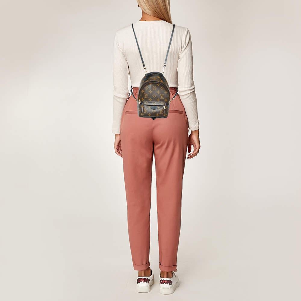 Louis Vuitton Monogram Canvas Palm Springs Mini Backpack 6