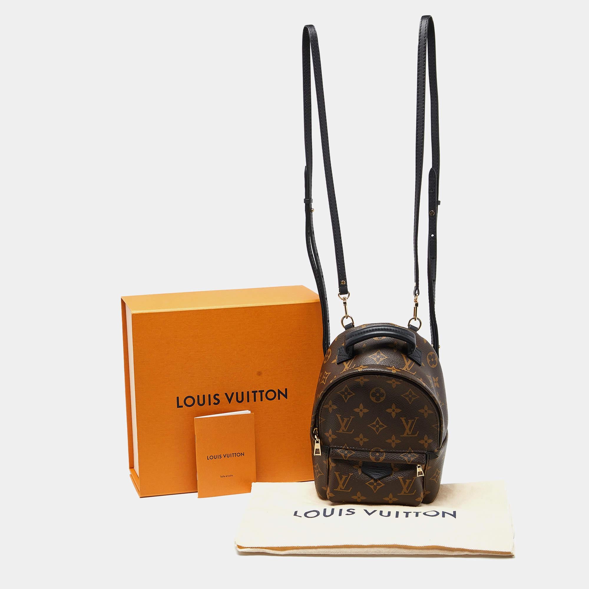 Louis Vuitton Monogram Canvas Palm Springs Mini Backpack 7