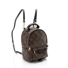 Louis Vuitton Monogram Canvas Palm Springs Mini Backpack