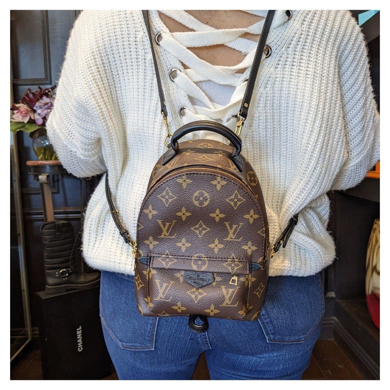 Louis Vuitton Monogram Canvas Palm Springs Mini Backpack For Sale at 1stDibs Louis Vuitton Monogram Canvas Palm Springs Mini Backpack For Sale at 1stDibs