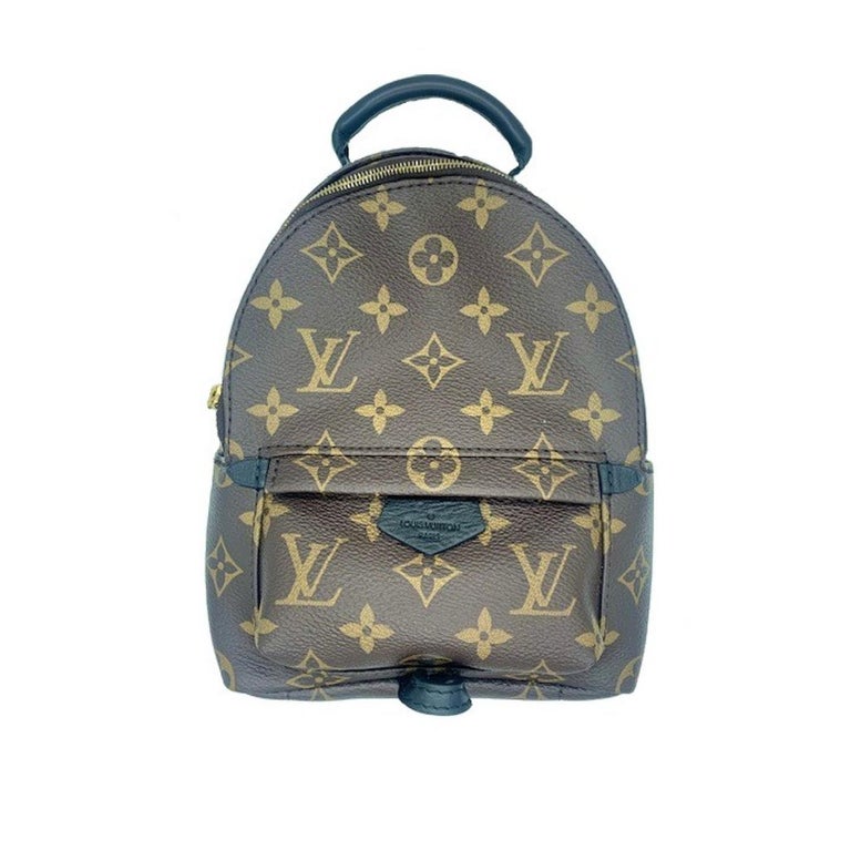 Louis Vuitton Backpack Palm Springs Mini Monogram Canvas School Travel Bag  A991 Leather ref.641367 - Joli Closet