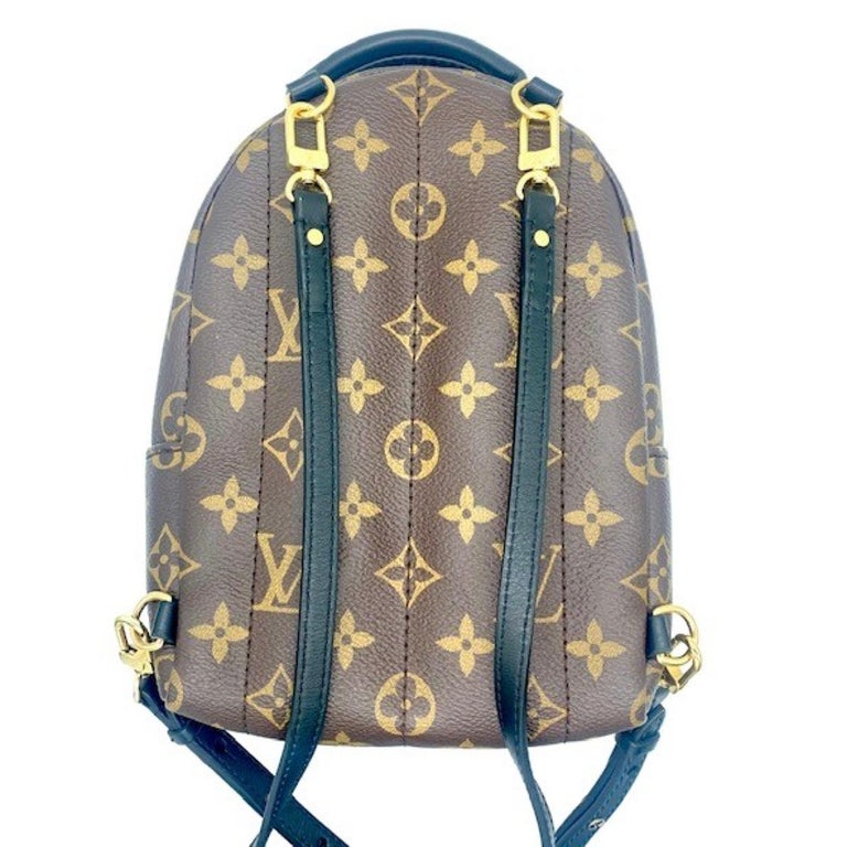 Women's Authentic Louis Vuitton Monogram Canvas Backpack for Sale in  Jacksonville, FL - OfferUp