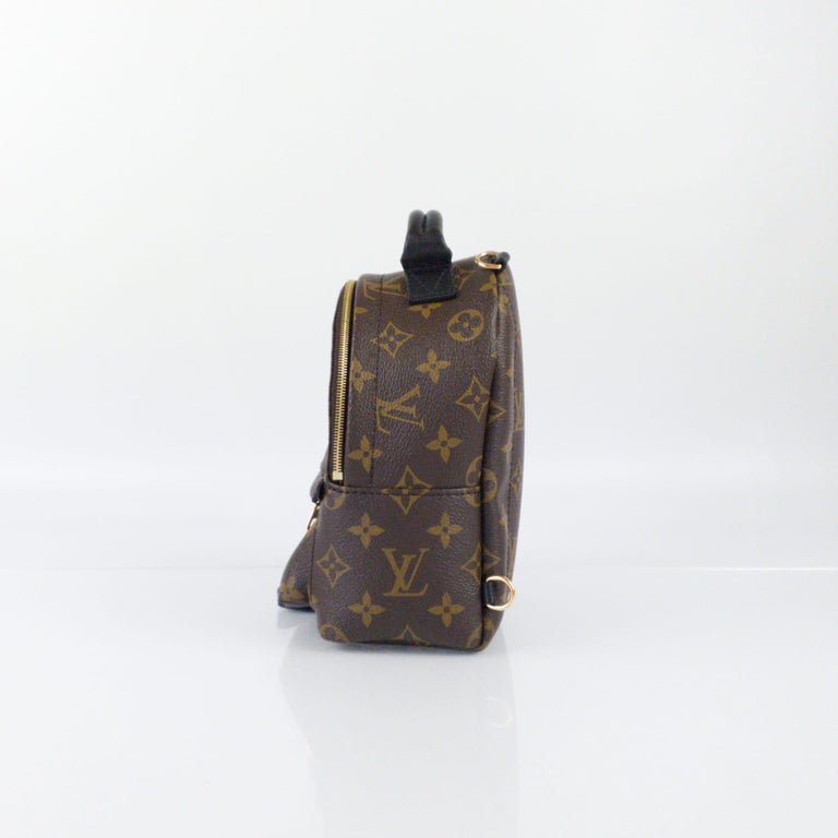 Louis Vuitton Monogram Canvas Palm Springs Mini Backpack In New Condition For Sale In Nicosia, CY
