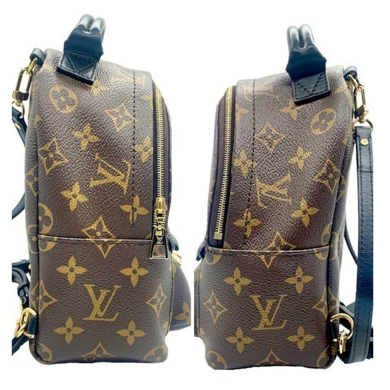Louis Vuitton Monogram Canvas Palm Springs Mini Backpack at 1stDibs