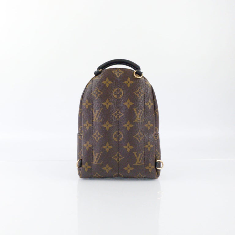 Women's or Men's Louis Vuitton Monogram Canvas Palm Springs Mini Backpack For Sale