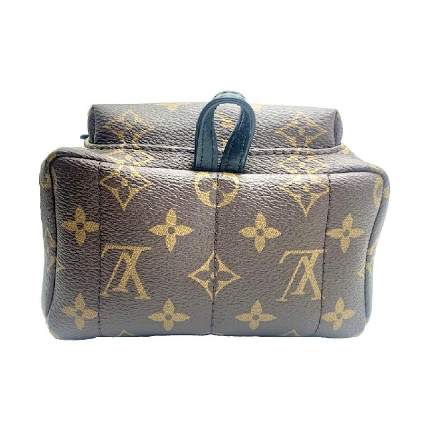 Gray Louis Vuitton Monogram Canvas Palm Springs Mini Backpack