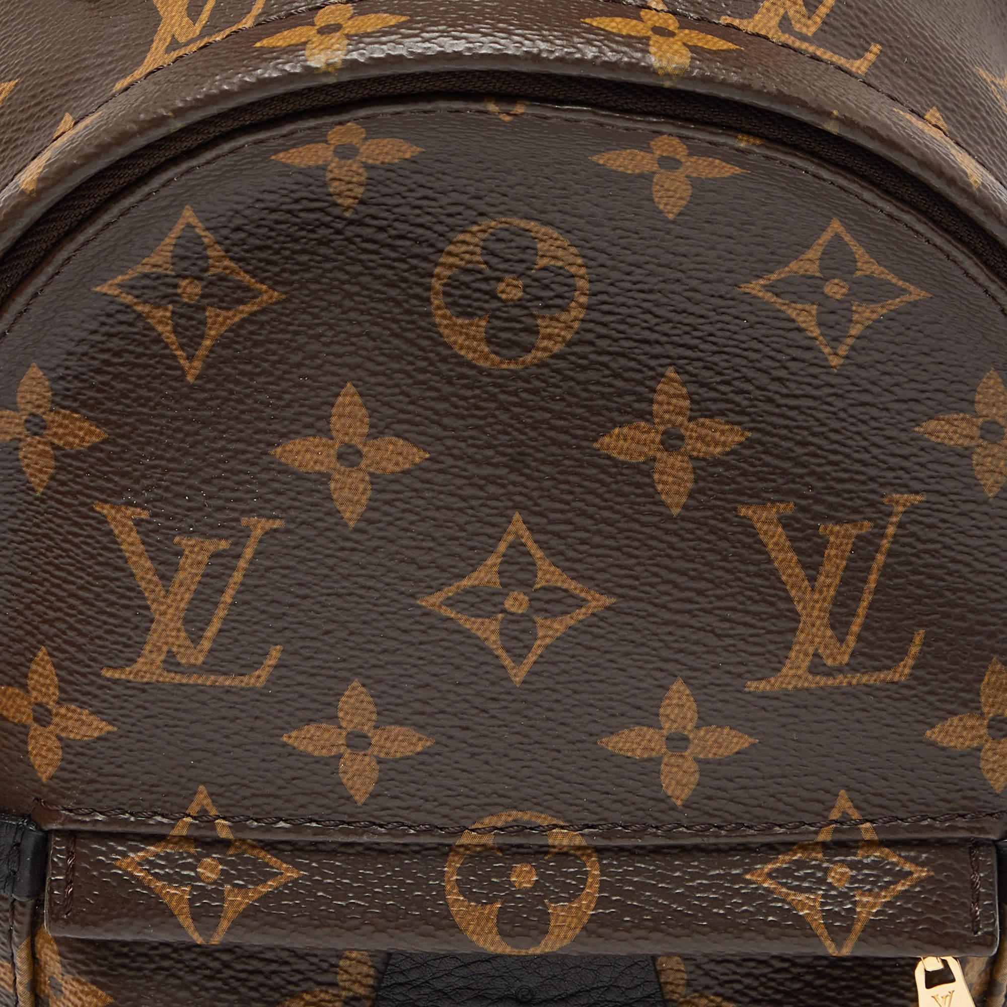 Louis Vuitton Monogram Canvas Palm Springs Mini Backpack 5