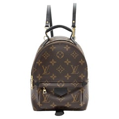 Louis Vuitton Monogram Canvas Palm Springs Mini Backpack