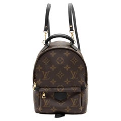 Louis Vuitton Monogram Canvas Palm Springs Mini Backpack