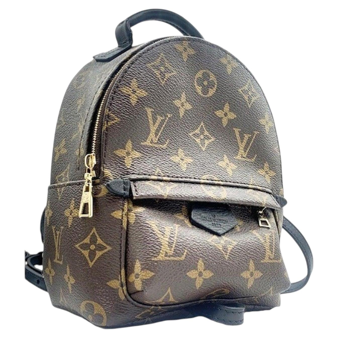 Mini sac à dos Louis Vuitton Monogram Canvas Palm Springs en vente