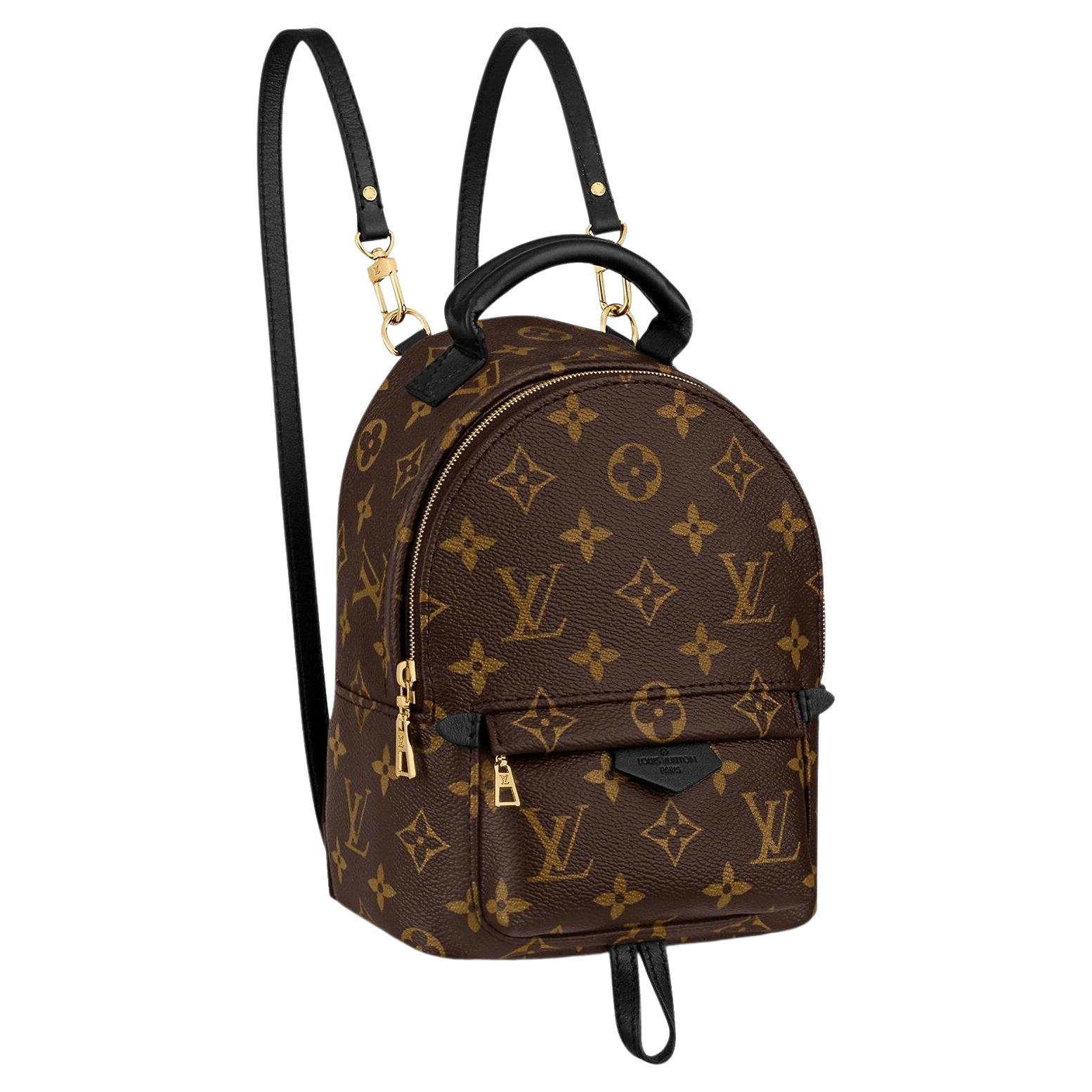 Louis Vuitton Monogram Canvas Palm Springs Mini Backpack For Sale at 1stDibs