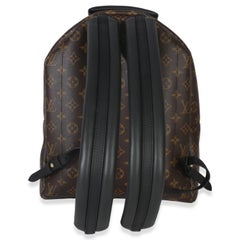 Louis Vuitton Monogram Canvas Palm Springs MM