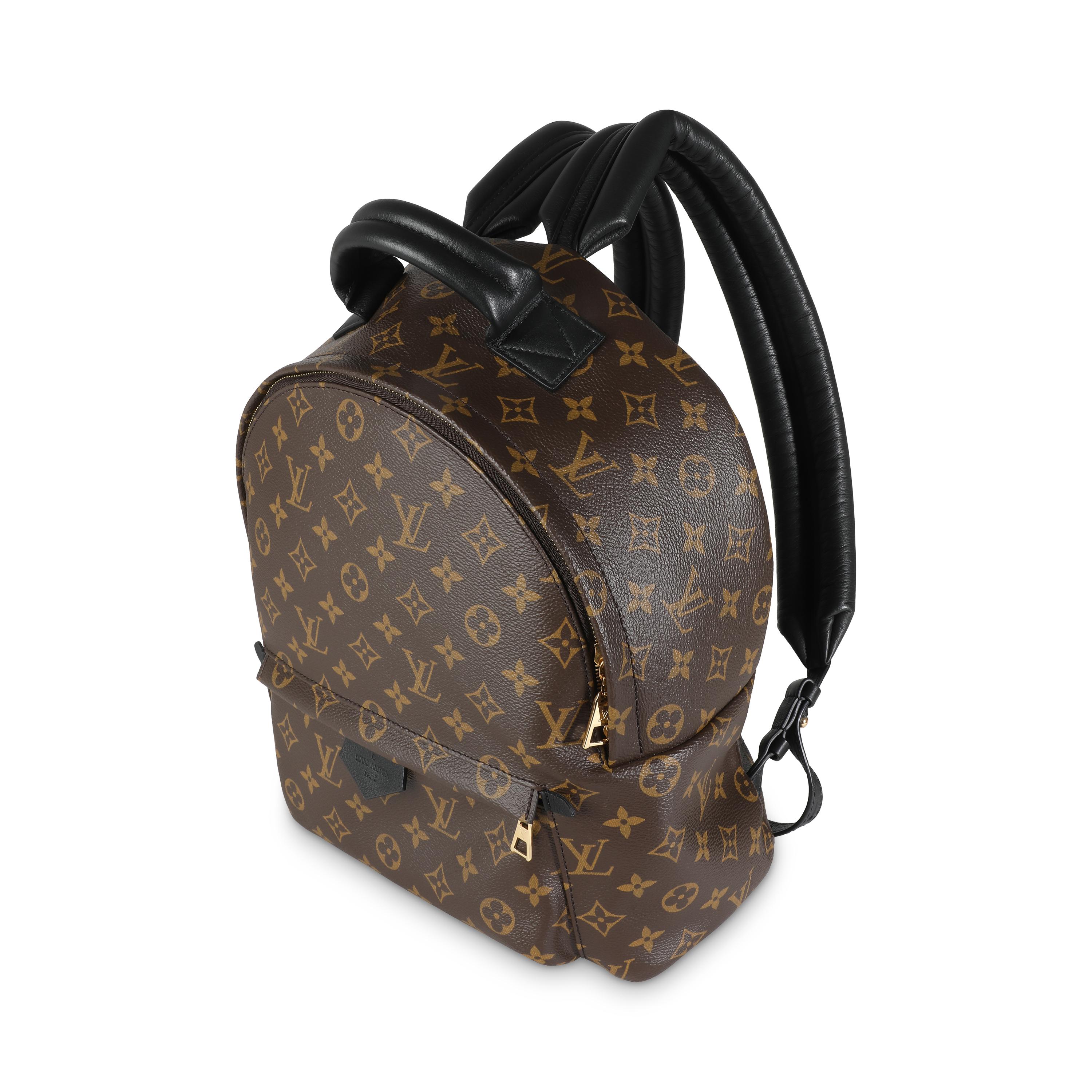 Louis Vuitton Monogram Canvas Palm Springs MM In condizioni ottime a New York, NY