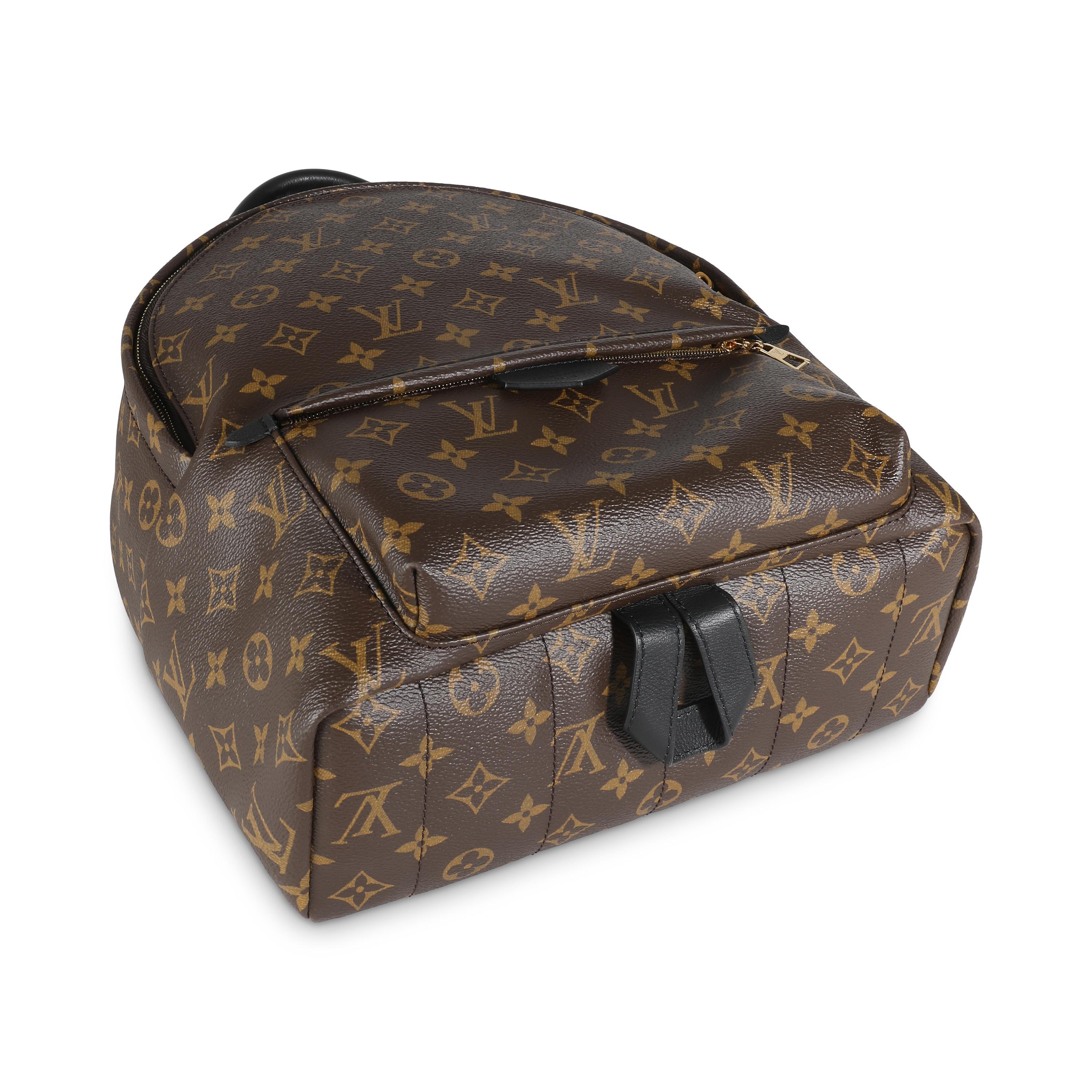 Louis Vuitton Monogram Canvas Palm Springs MM 1