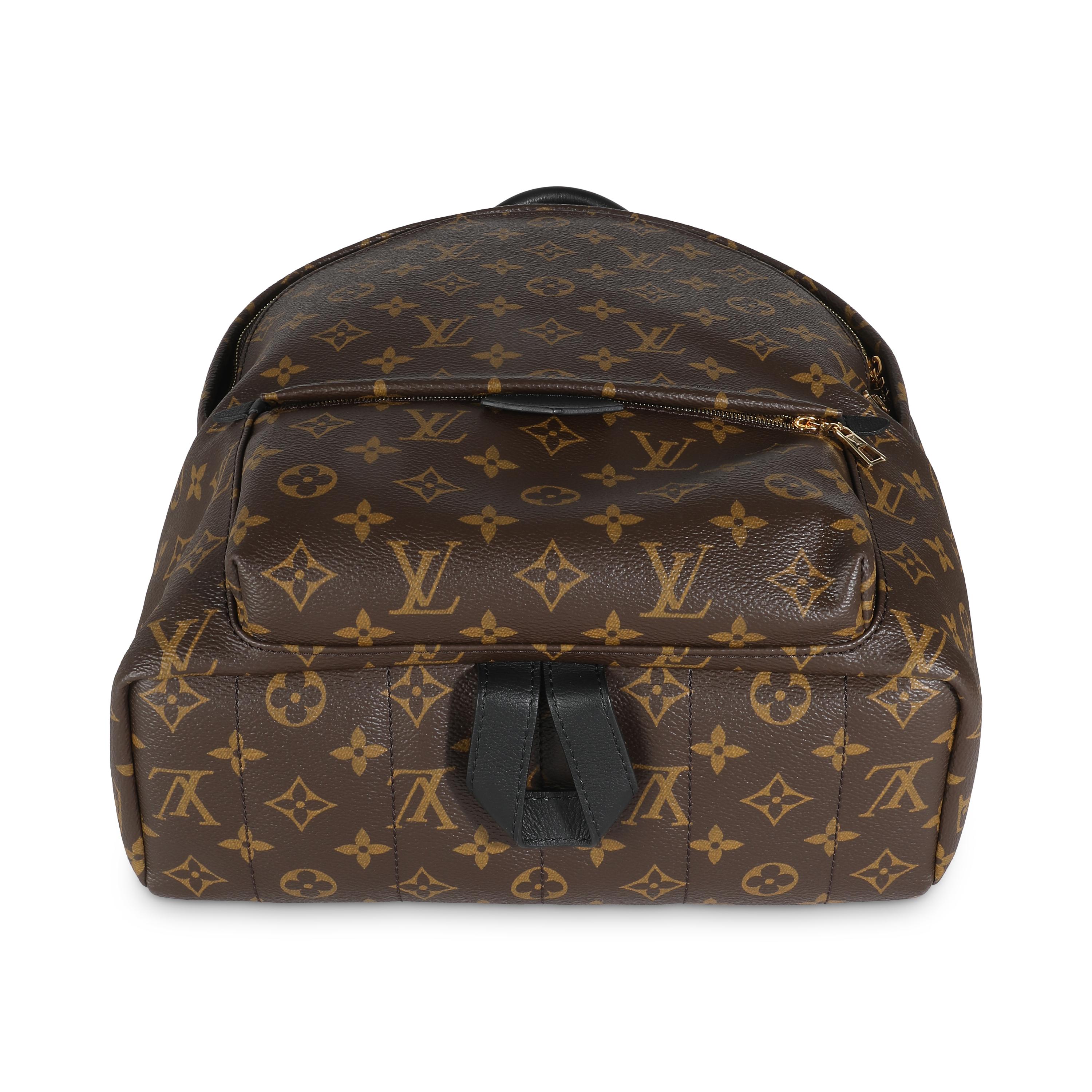 Louis Vuitton Monogram Canvas Palm Springs MM 2