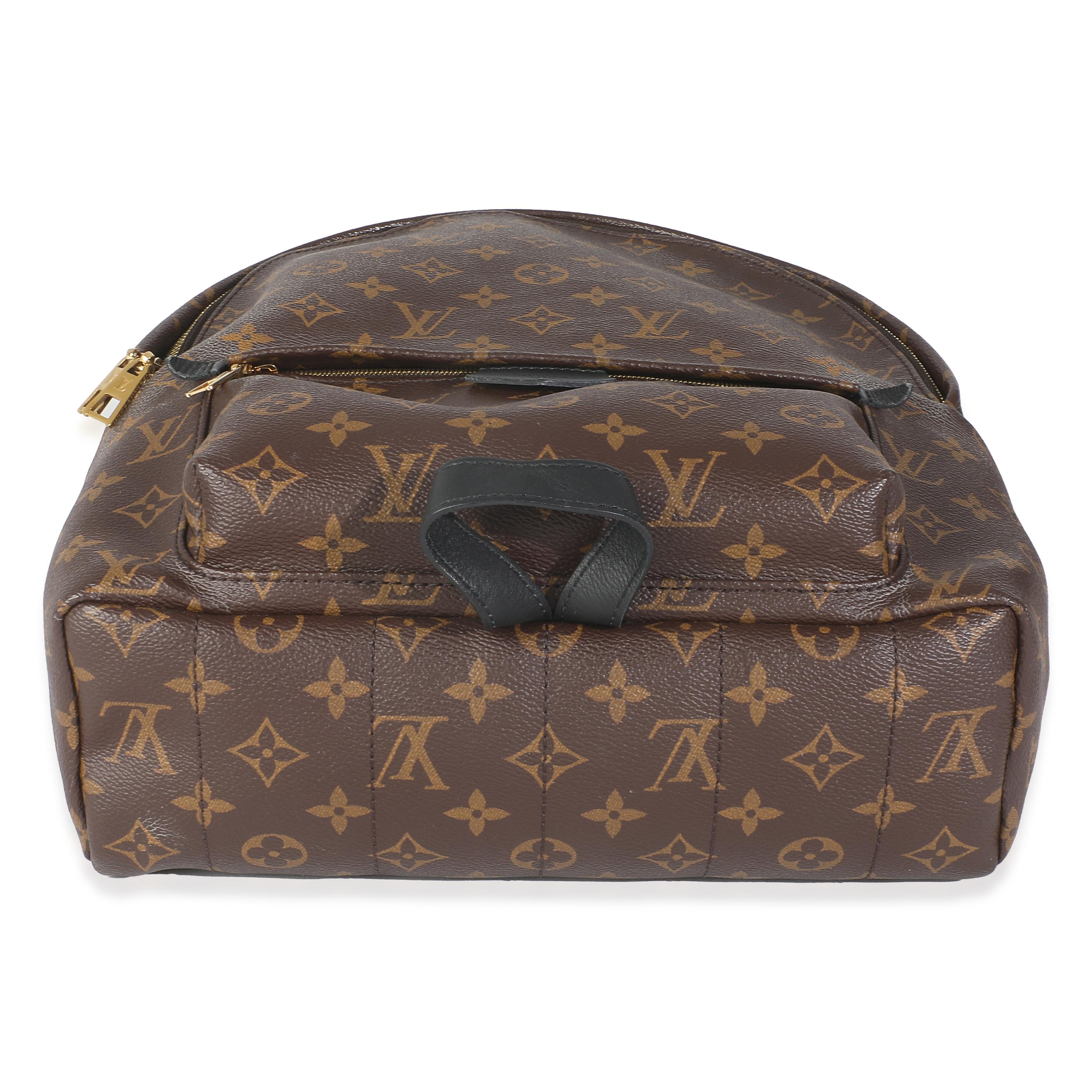 Louis Vuitton Monogram Canvas Palm Springs MM For Sale 4