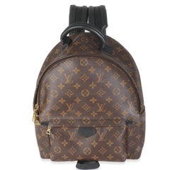 Louis Vuitton Monogram Canvas Palm Springs MM
