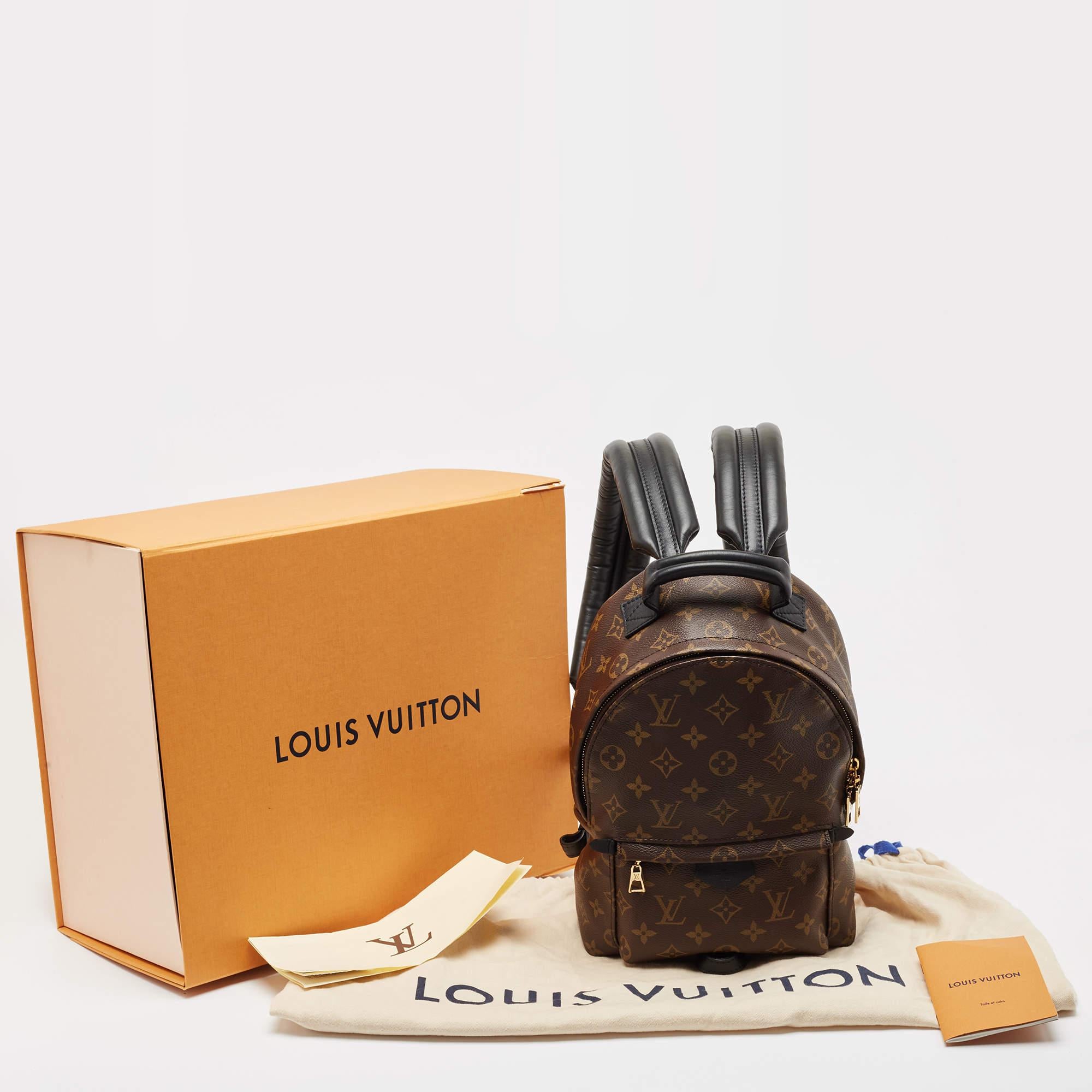 Louis Vuitton Monogram Canvas Palm Springs PM Backpack 1