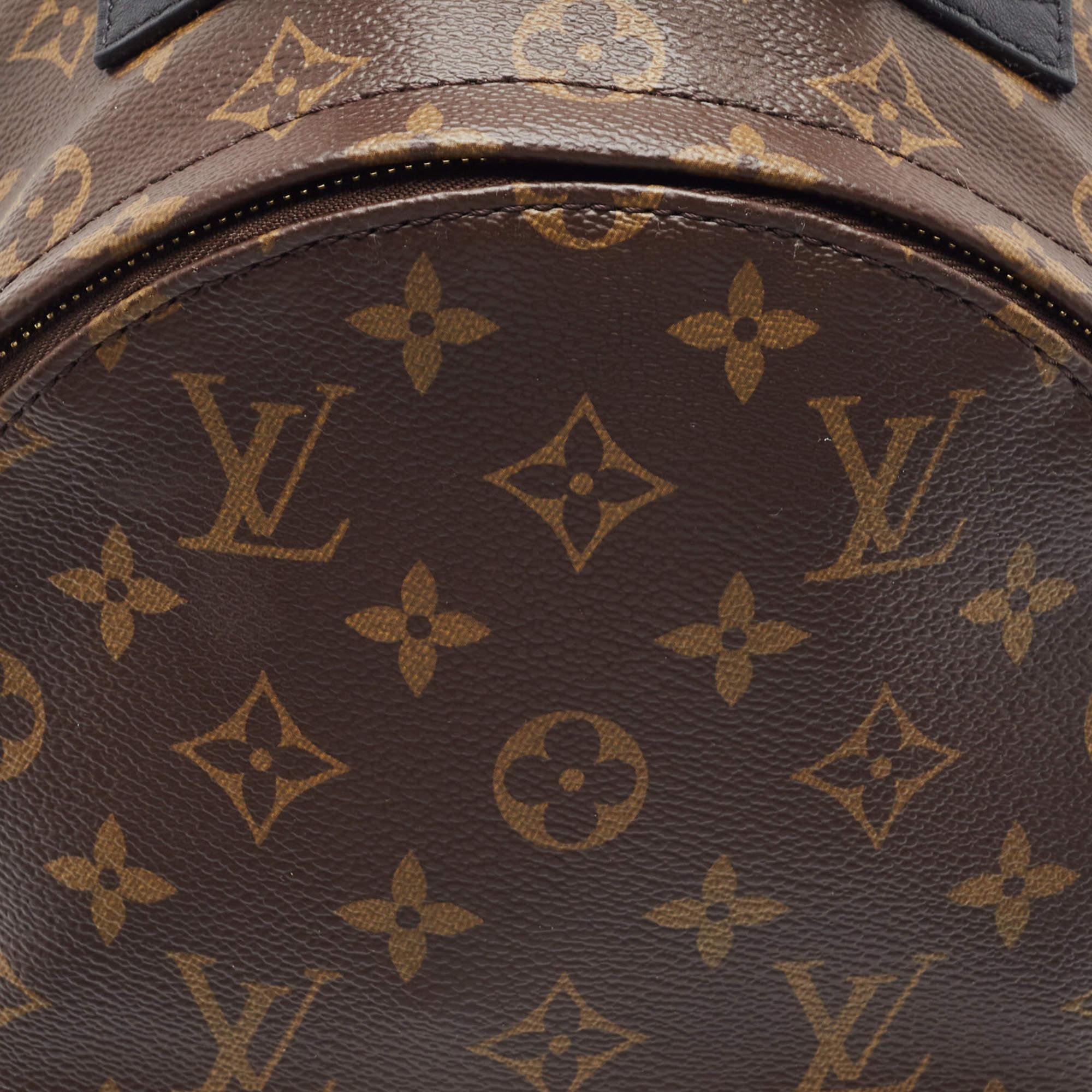 Louis Vuitton Monogram Canvas Palm Springs PM Backpack 2