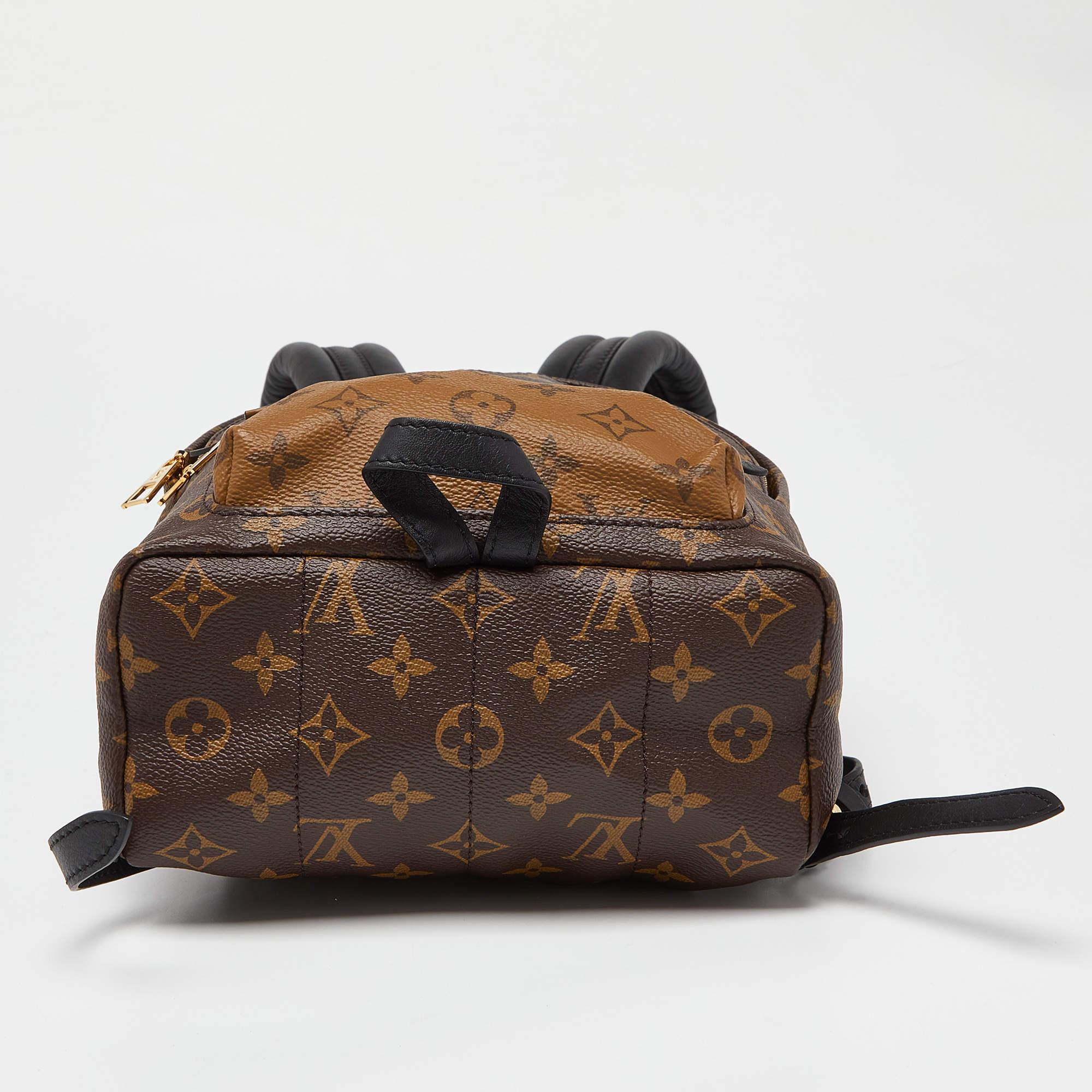 Louis Vuitton Monogram Canvas Palm Springs PM Backpack For Sale 4