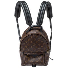 Louis Vuitton Monogram Canvas Palm Springs PM Backpack