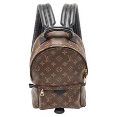 Sac à dos Louis Vuitton Monogram Canvas Palm Springs PM