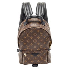 Louis Vuitton Monogram Canvas Palm Springs PM Backpack