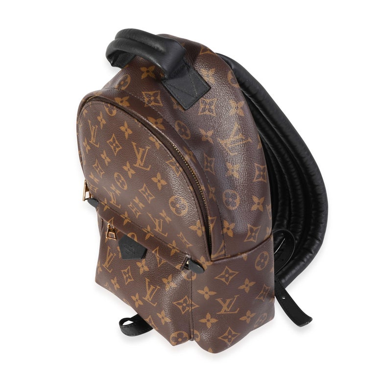 Louis Vuitton Monogram Canvas Palm Springs PM For Sale at 1stDibs