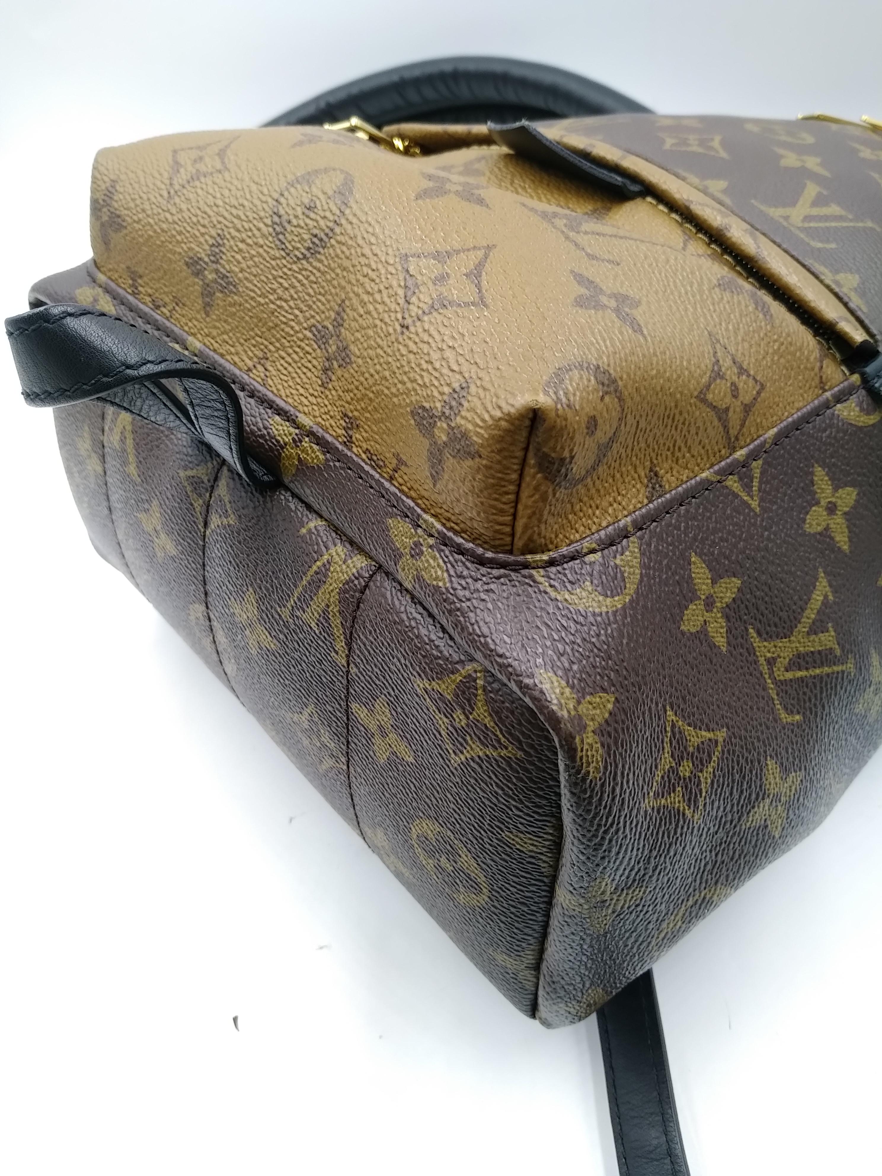 Louis Vuitton Monogram Canvas Reverse Palm Springs PM Backpack  For Sale 2