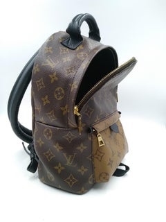 Louis Vuitton Monogram Canvas Reverse Palm Springs PM Backpack