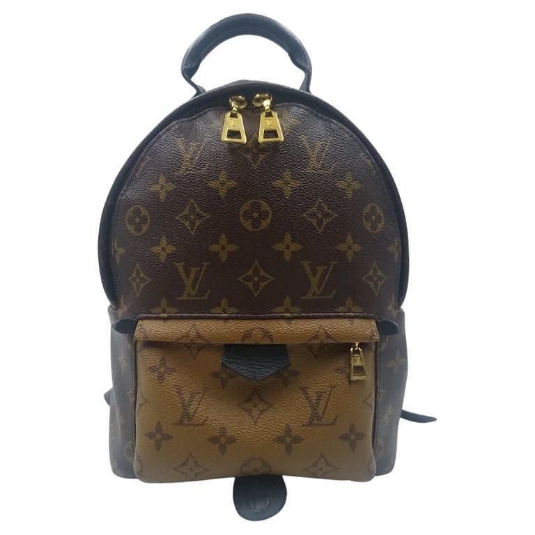 Louis Vuitton Monogram Canvas Reverse Palm Springs PM Backpack For Sale at  1stDibs | louis vuitton back pack