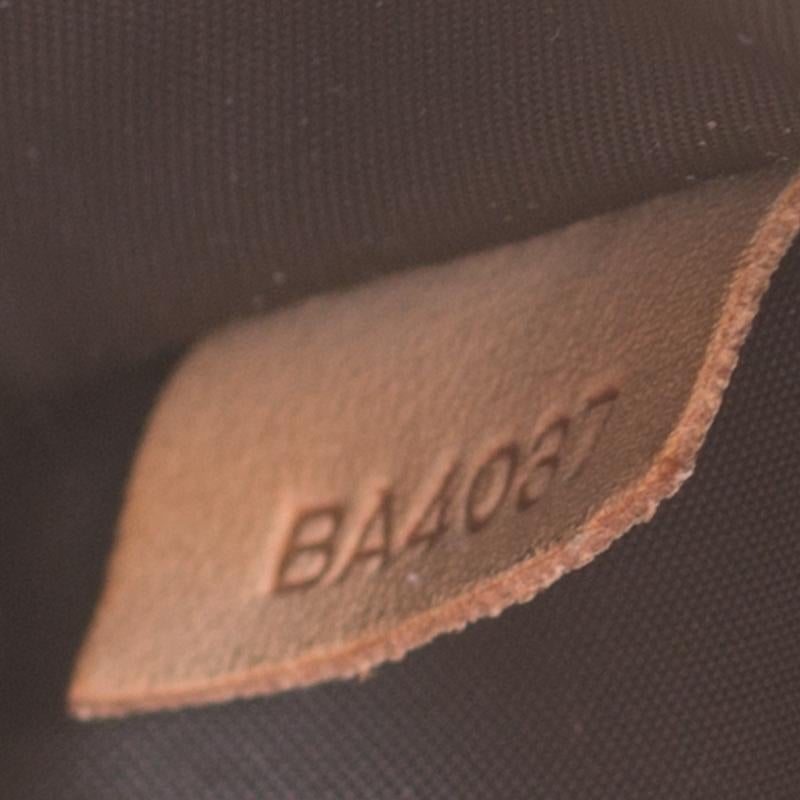 louis vuitton dog carrier baxter monogram pm brown