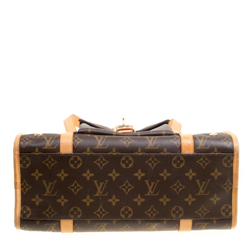 louis vuitton pet carrier