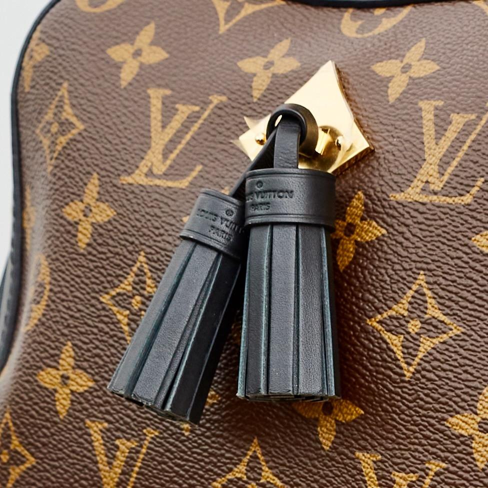 Louis Vuitton Saintonge Umhängetasche aus Segeltuch mit Monogramm (2018) 5