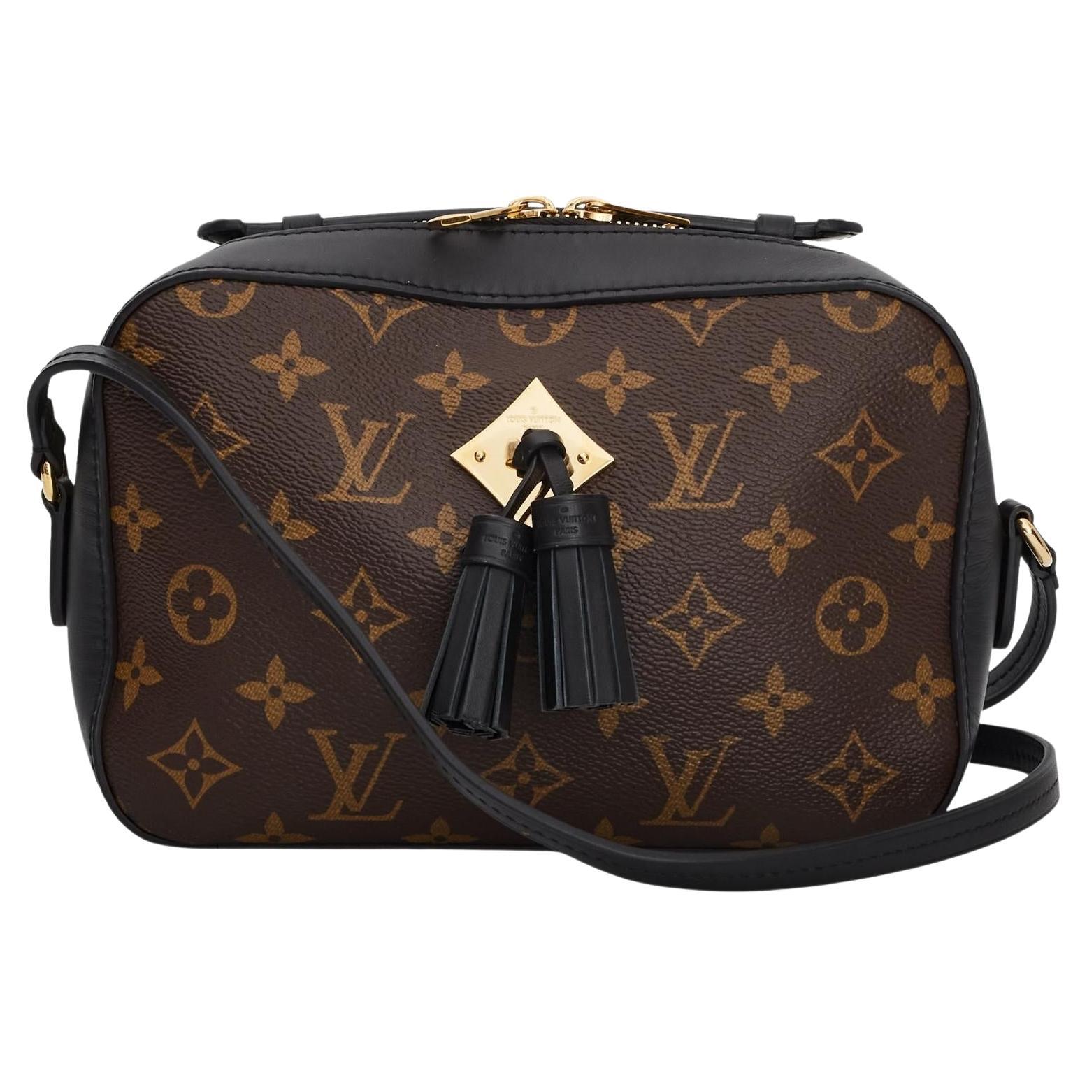 Louis Vuitton Saintonge Bag Review