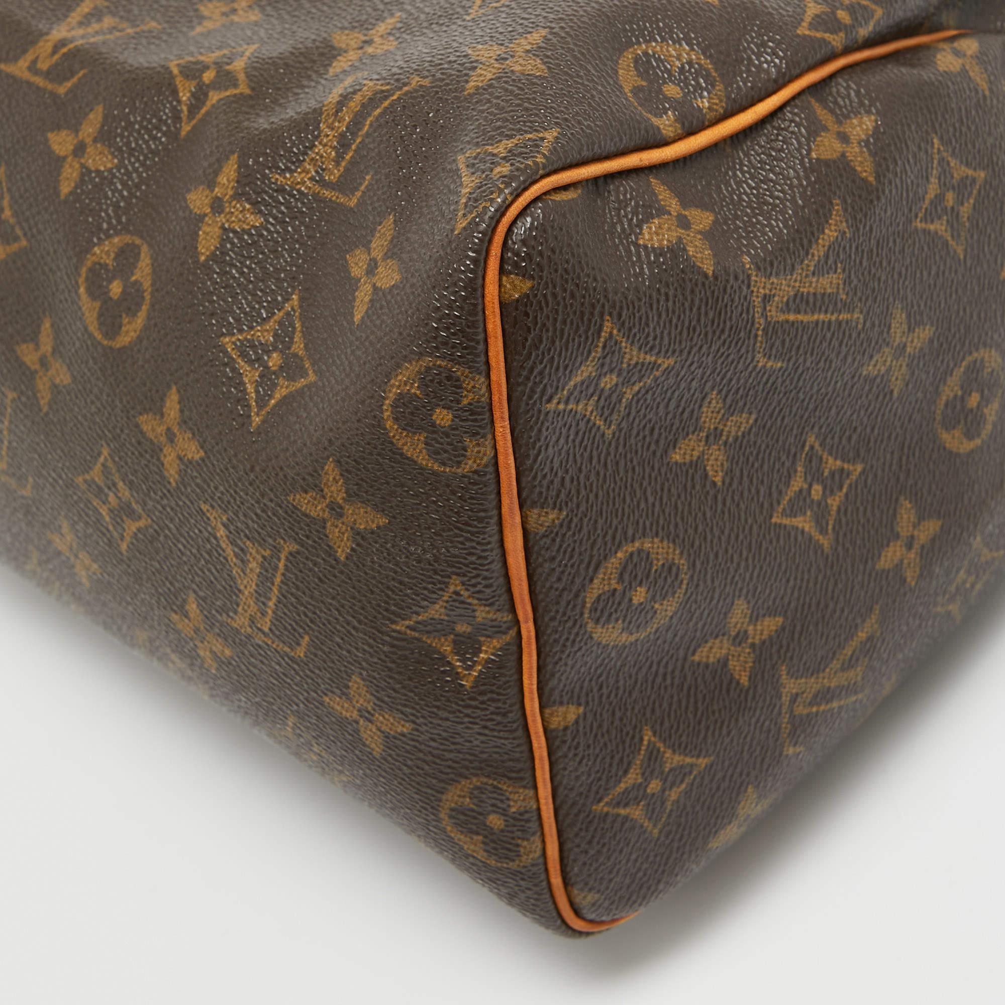Louis Vuitton Monogrammierte Speedy 25 Tasche aus Segeltuch im Angebot 6