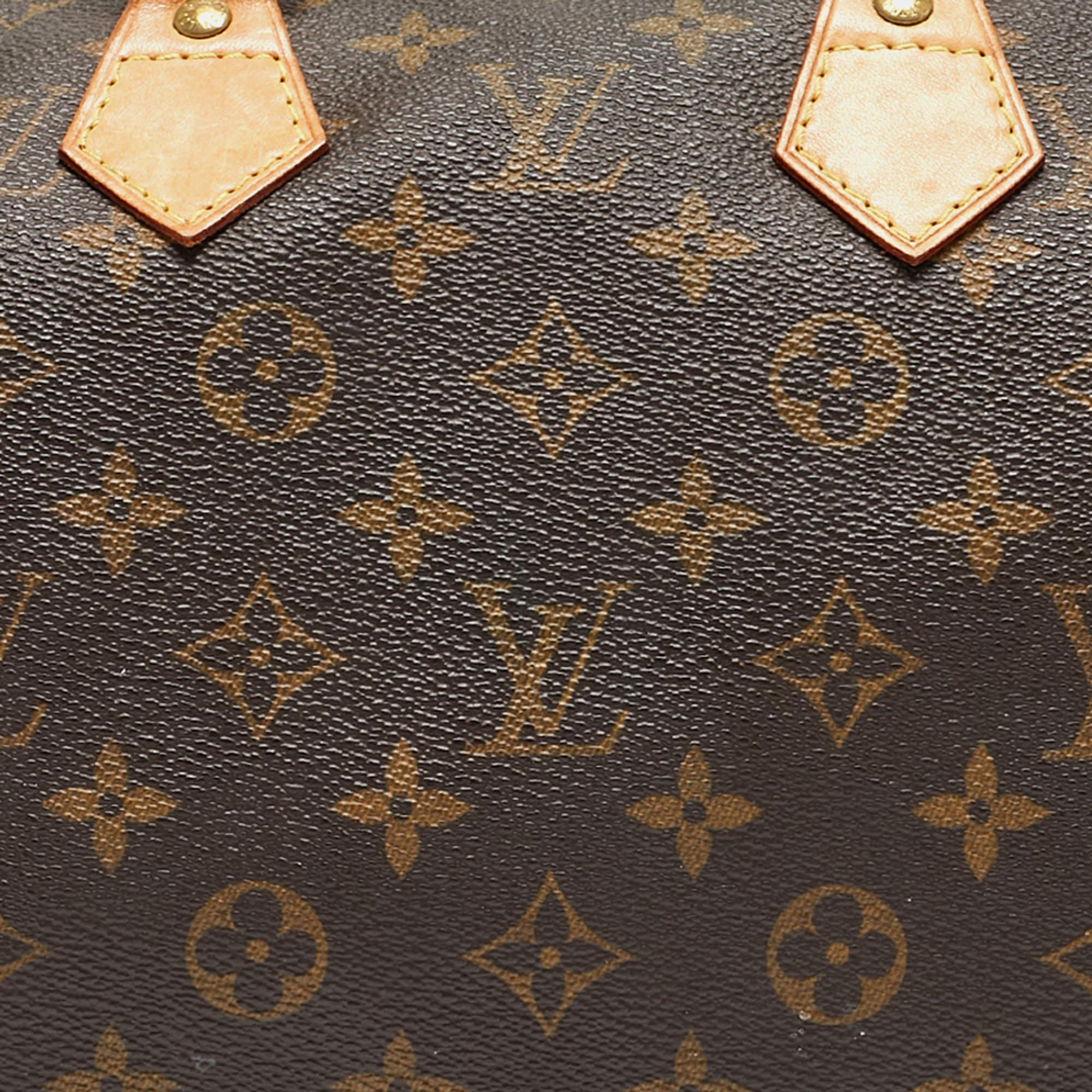 Black Louis Vuitton Monogram Canvas Speedy 25 Bag
